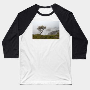 Tree on Bluff Knoll Baseball T-Shirt